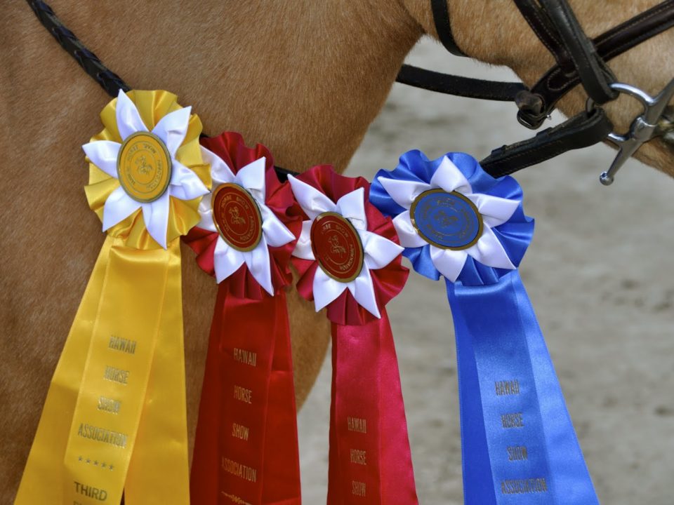 HHSA ribbons