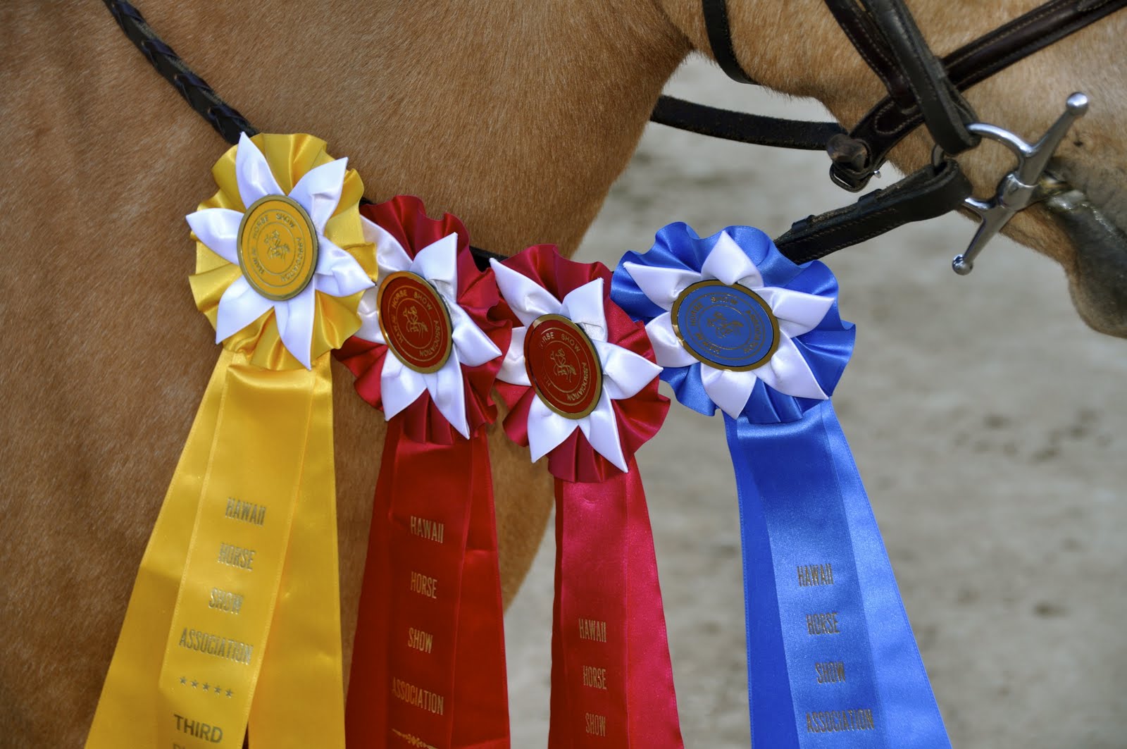 HHSA ribbons