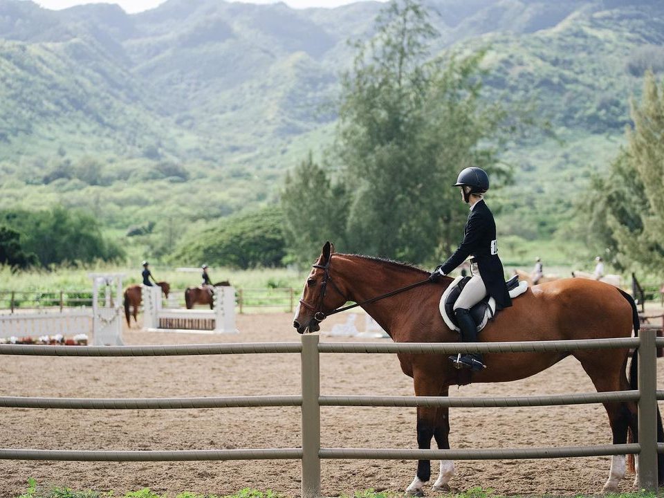 HHSA Horsehow at Dillingham Ranch by Rachel Sloan Photo